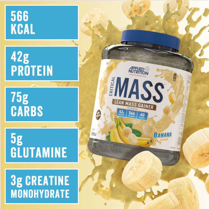 Applied Critical Mass Professional 2.4KG