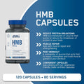 Applied Nutrition HMB 500mg Capsules – 120 Capsules