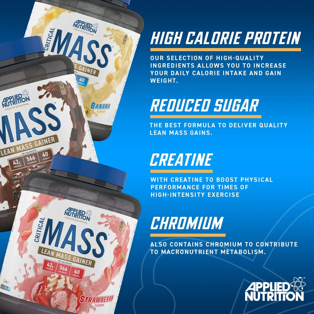 Applied Critical Mass Professional 2.4KG